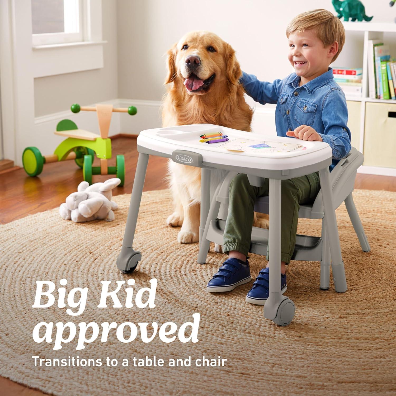 imageGraco Table2Table Lux Highchair 6 Growing Stages from Infant High Chair to Big Kid Chair and Table RhodesWillows