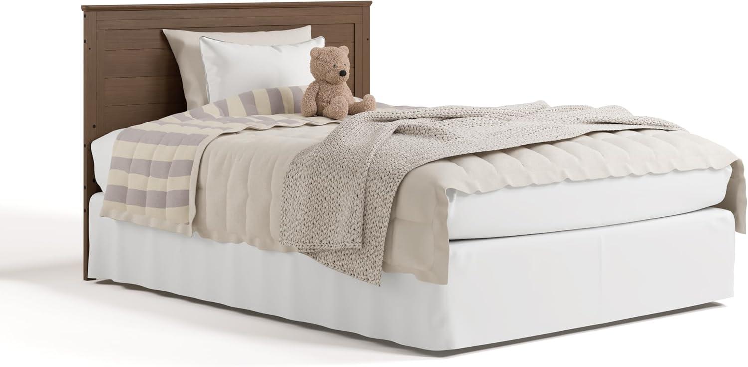 imageGraco Tristan 5in1 Convertible Crib with Drawer Frosted Oat GREENGUARD Gold Certified Fits Standard Crib Mattress Premium Handle Converts to Toddler Bed Daybed and FullSize BedHazelnut